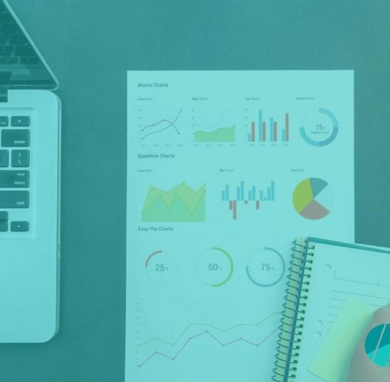 Ina Professional Consulting - Solutii business pentru optimizarea performantelor